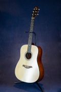     <br>Vision Acoustic 10