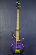     <br>Ibanez SR-890