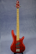     <br>Ibanez SR-500