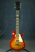     <br>GrassRoots G-LP-50S