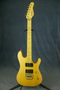     <br>GrassRoots Superstrat FR<br>Korea