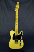     <br>Fender American Standard Telecaster