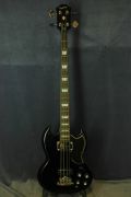     <br>Epiphone EB-3