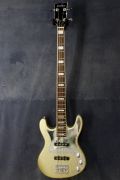  ESP/Edwards/GrassRoots <br>Grass Roots G-AK-70 Silver Sparke