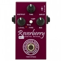  AMT Electronics <br>RY-1 (Digital Reverb)