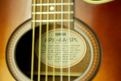 Yamaha APX-4A-SPL