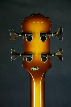 Epiphone Viola Bass