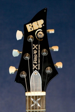 ESP Ninja