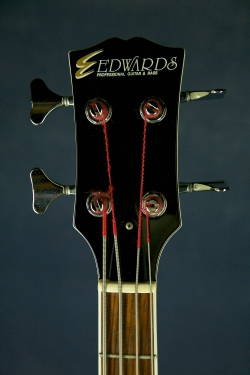 Edwards SG