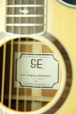 PRS SE Angelus Standard