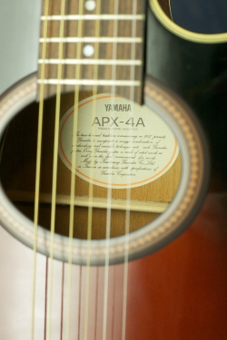 Yamaha APX-4A