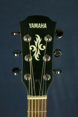 Yamaha APX-4A