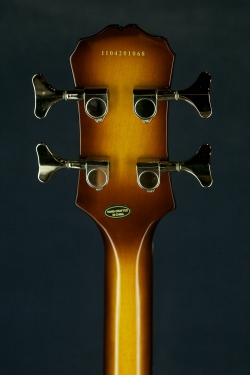 Epiphone Viola Bass