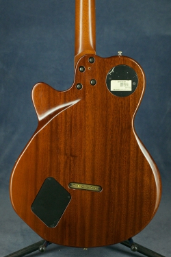 Godin Montreal Natural HG