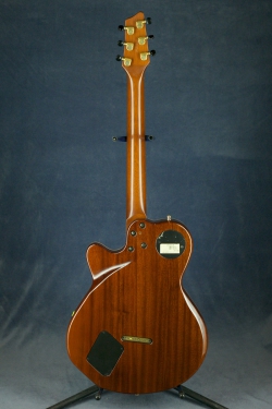 Godin Montreal Natural HG