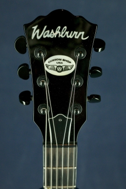 USA Custom Shop Idol WI566