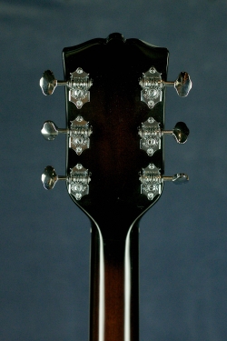 Washburn LSB768SEK Baritone Acoustic  