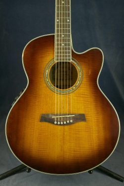 Ibanez AEL20EVV 1202