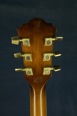 Ibanez AEL20EVV 1202