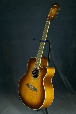 Ibanez AEL20EVV 1202