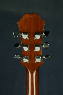 Epiphone PR 350 CE VSB