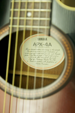 Yamaha APX-4A