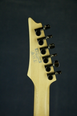 Ibanez RG421