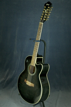 Ibanez AEL2012E TKS 