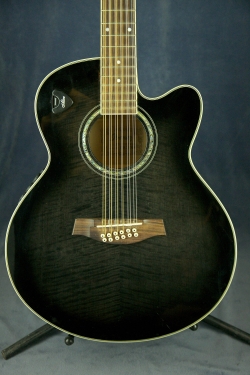 Ibanez AEL2012E TKS 