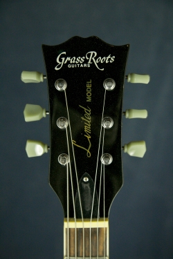 GrassRoots G-LP-60S Gold Top