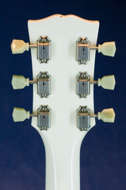 Edwards E-SG-80D (WH)