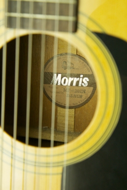 Morris MF-202N