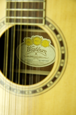 Washburn WD10S12