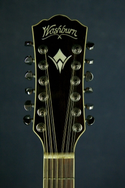 Washburn WD10S12