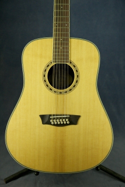 Washburn WD10S12