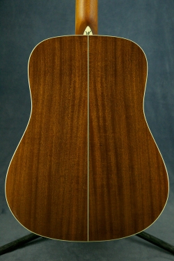 Washburn WD10S12