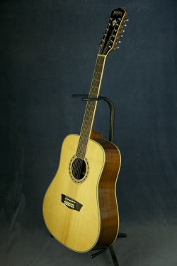 Washburn WD10S12