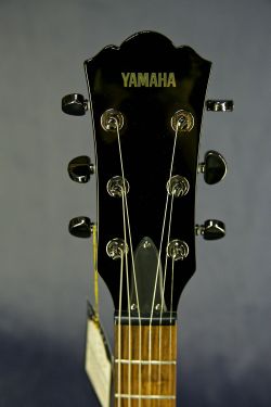 Yamaha AES720
