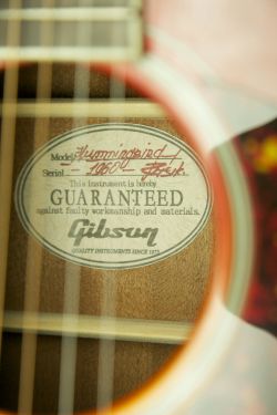 Gibson Hummingbird