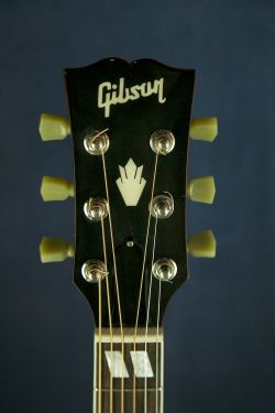 Gibson Hummingbird