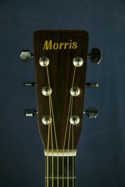 Morris W-20