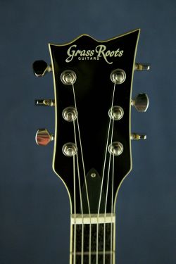 Grassroots G-VP-38G