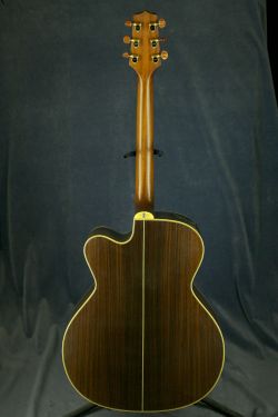 Takamine NPT-010