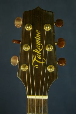 Takamine NPT-010