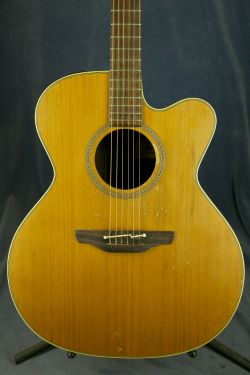 Takamine NPT-010