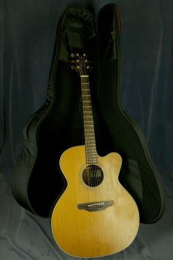 Takamine NPT-010