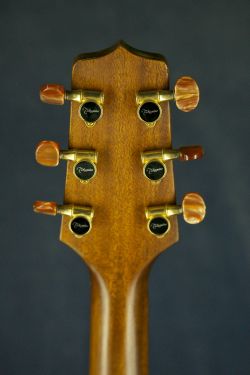 Takamine NPT-010