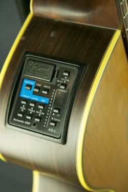 Takamine NPT-010