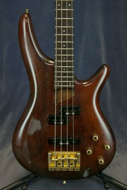 SDGR Mahogany