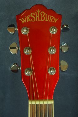 Washburn EA16MC